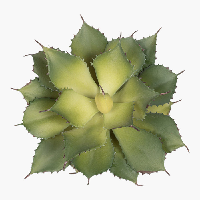 10" Succulent Stem SU1106
