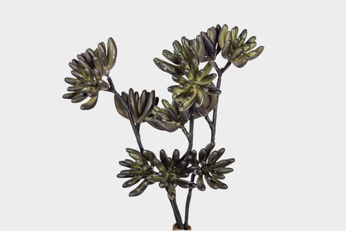 11" Multi-Head Succulent Stem MH1041