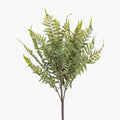 19” Fern Stem FR1043