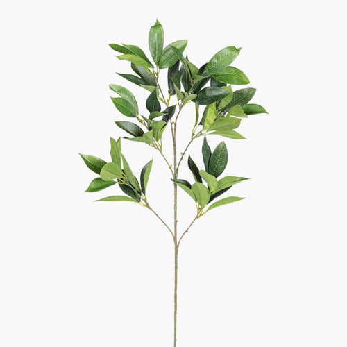 24" Bay Leaf Spray    ST1257