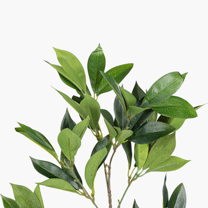 24" Bay Leaf Spray    ST1257