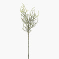 25" Curly Pencil Cactus Stem    ST1259
