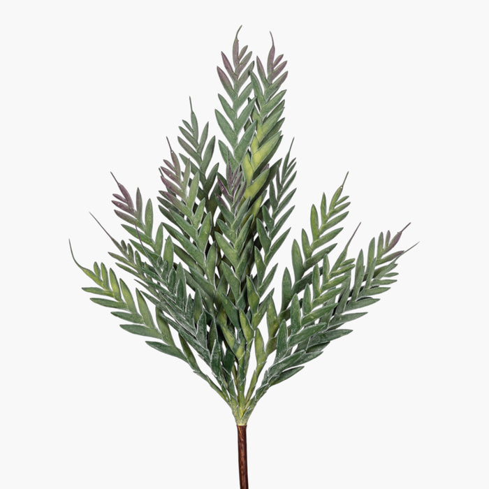 43" Grevillea Spray    ST1258