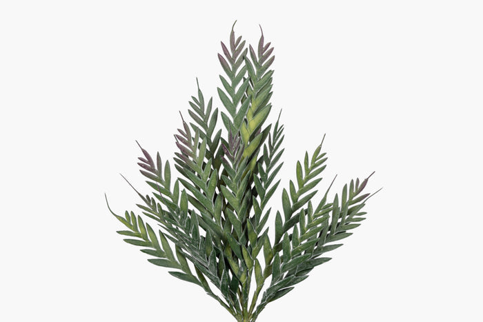 43" Grevillea Spray    ST1258