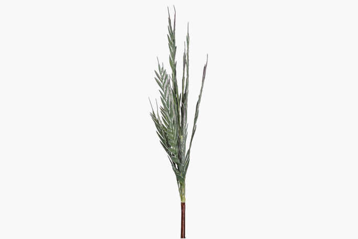 43" Grevillea Spray    ST1258
