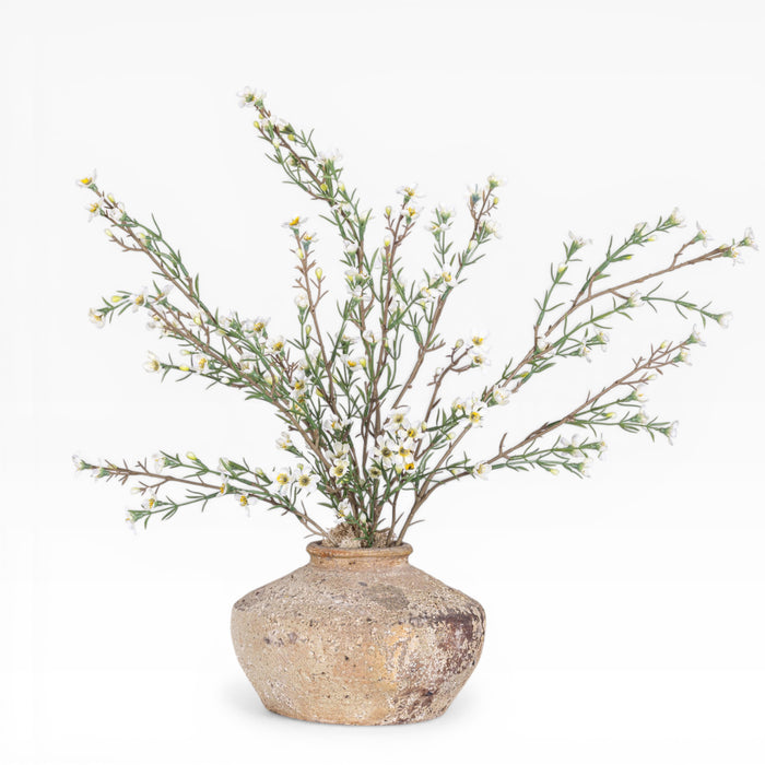 5" Loen Pot with Myrtle Flower Blossom Arrangement AR1943