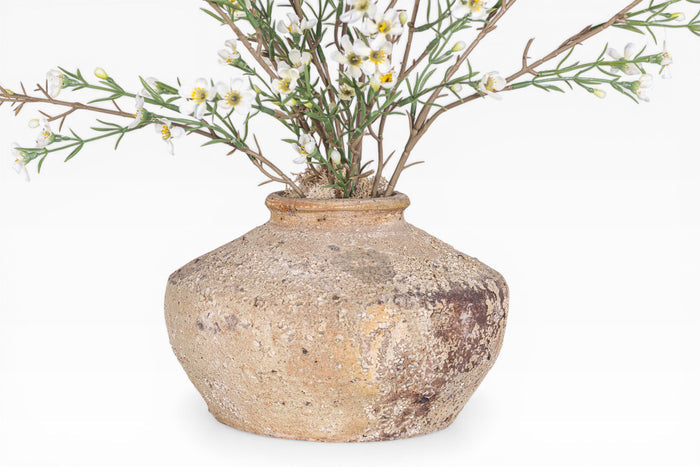 5" Loen Pot with Myrtle Flower Blossom Arrangement AR1943