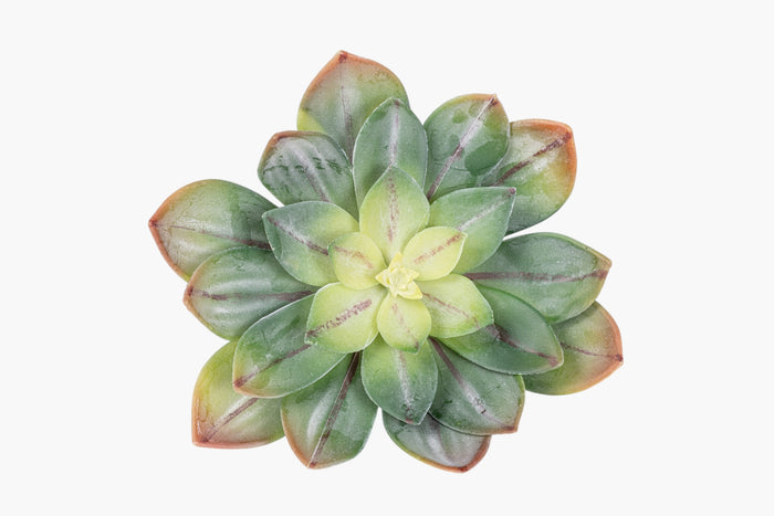 7" Succulent Stem SF1135