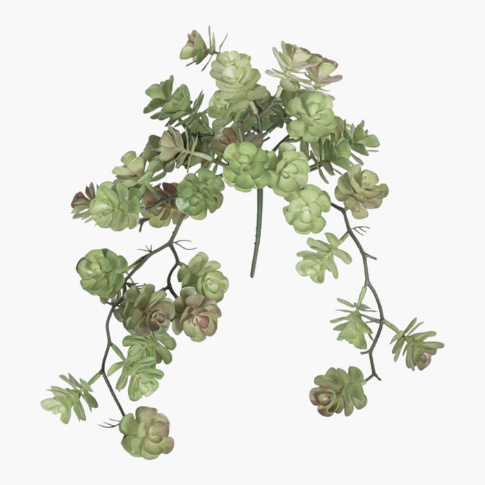7.5" Multi-Head Succulent Stem    MH1036
