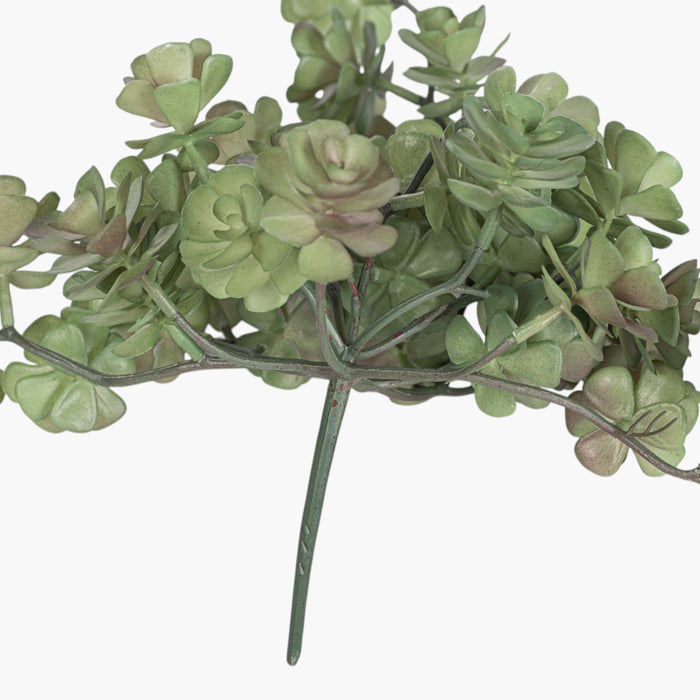 7.5" Multi-Head Succulent Stem    MH1036