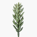 8" Succulent Stem SU1113