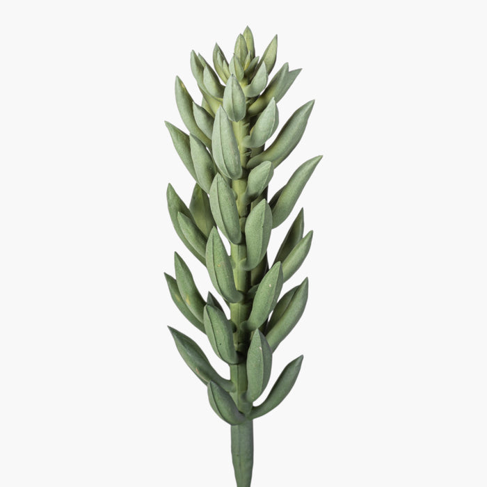 8" Succulent Stem SU1113