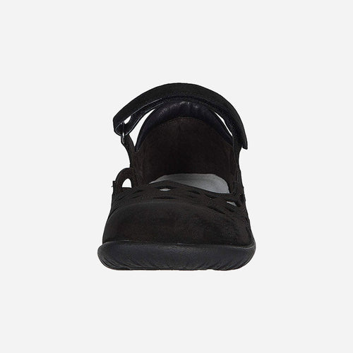 Agathis Black