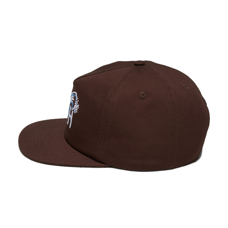 Anti-Hero Expressions Hat - Brown