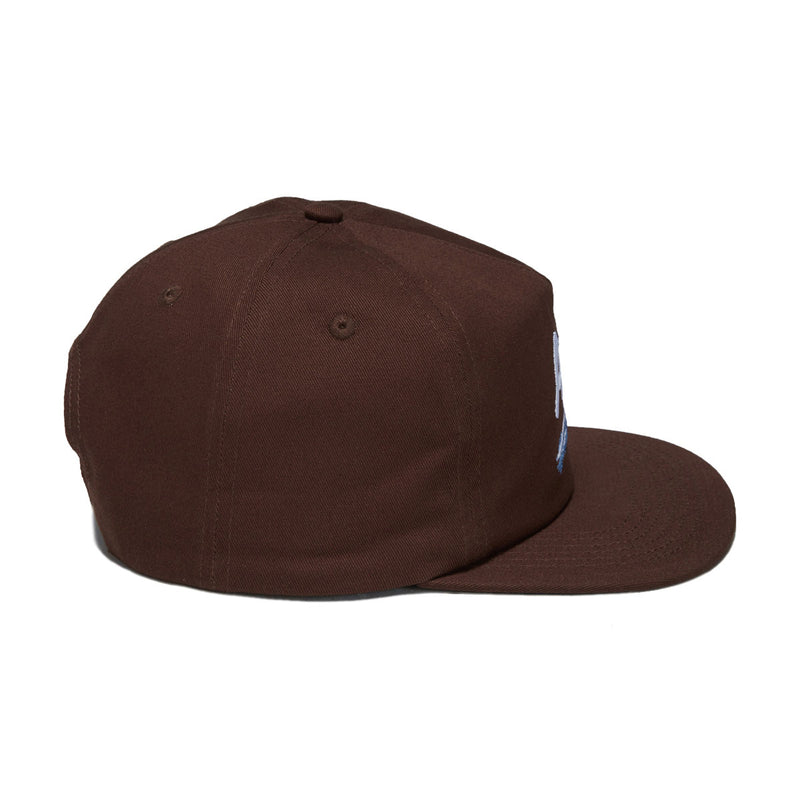 Anti-Hero Expressions Hat - Brown