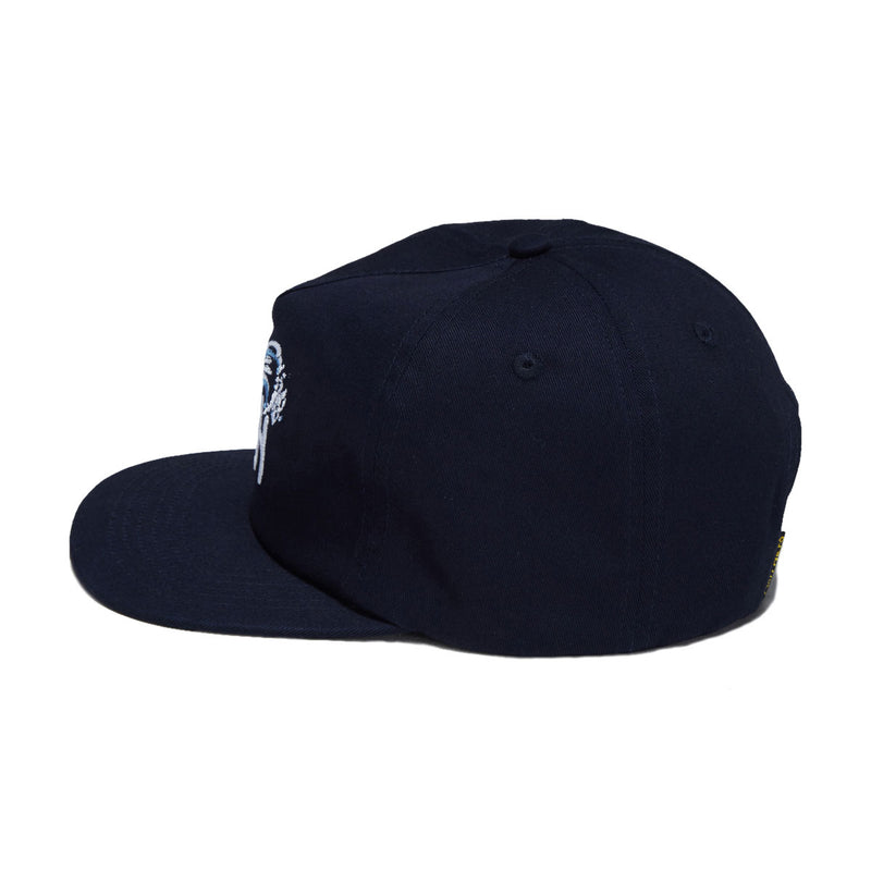 Anti-Hero Expressions Hat - Navy