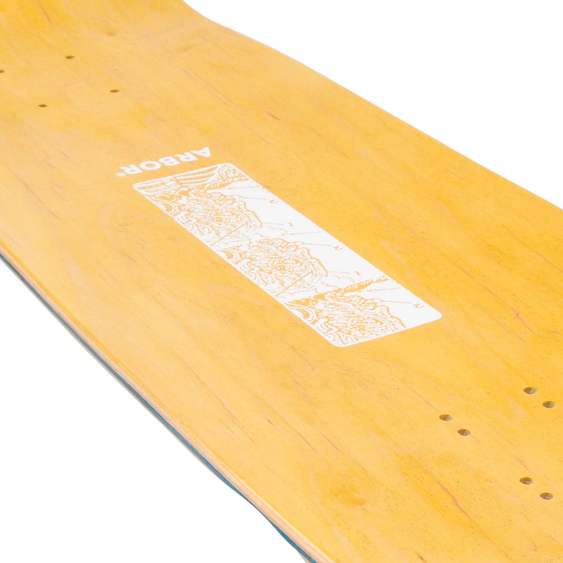 Arbor Ace Pelka Anatomy Skateboard Complete - 9.75"