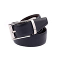 Reversible Belt