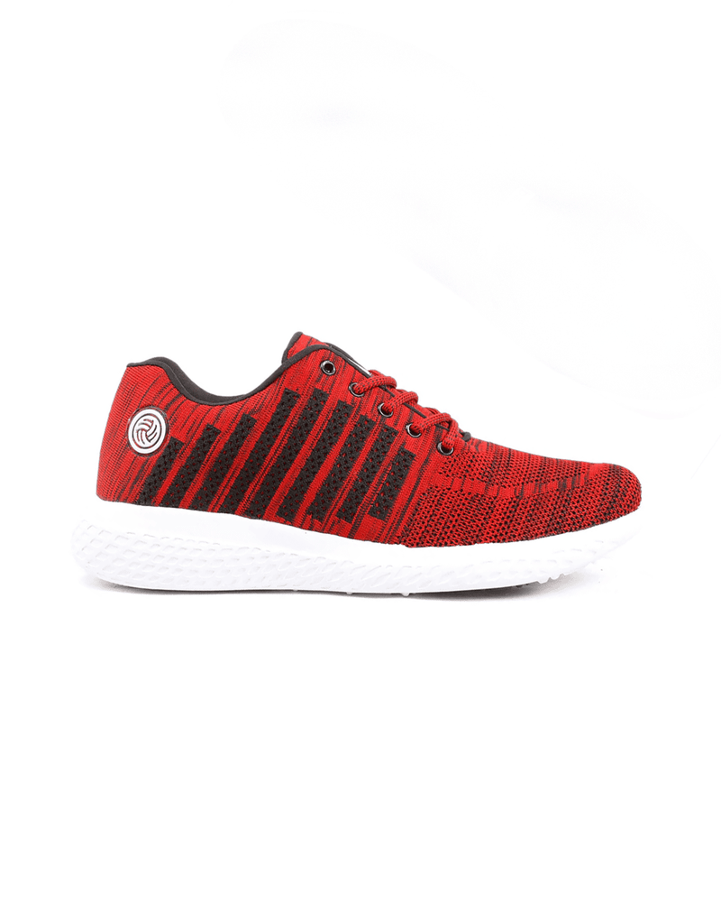 Bacca Bucci Project Plus