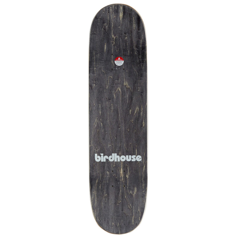 Birdhouse Greyson Fletcher Toybox Skateboard Complete - 8.25"