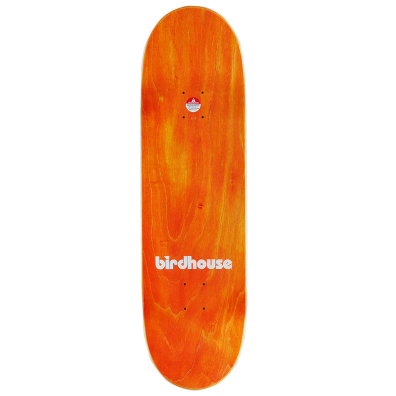 Birdhouse Shawn Hale Tillbrook Skateboard Complete - 9.00"