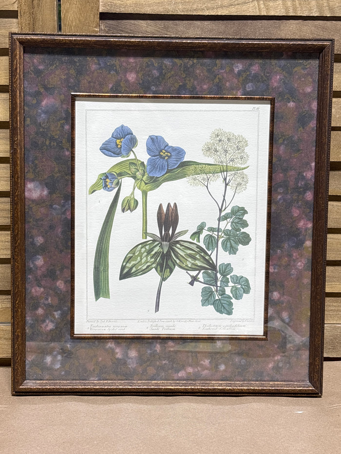 Bombay Company Botanical Print (B) AS IS