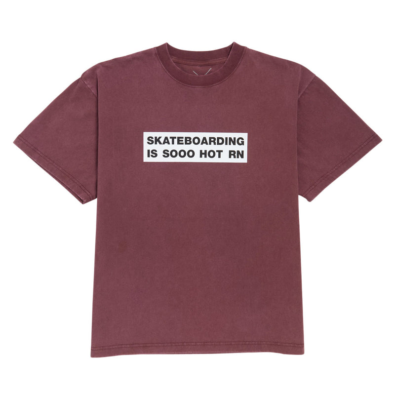 Color Bars So Hot T-Shirt - Vintage Mahogany