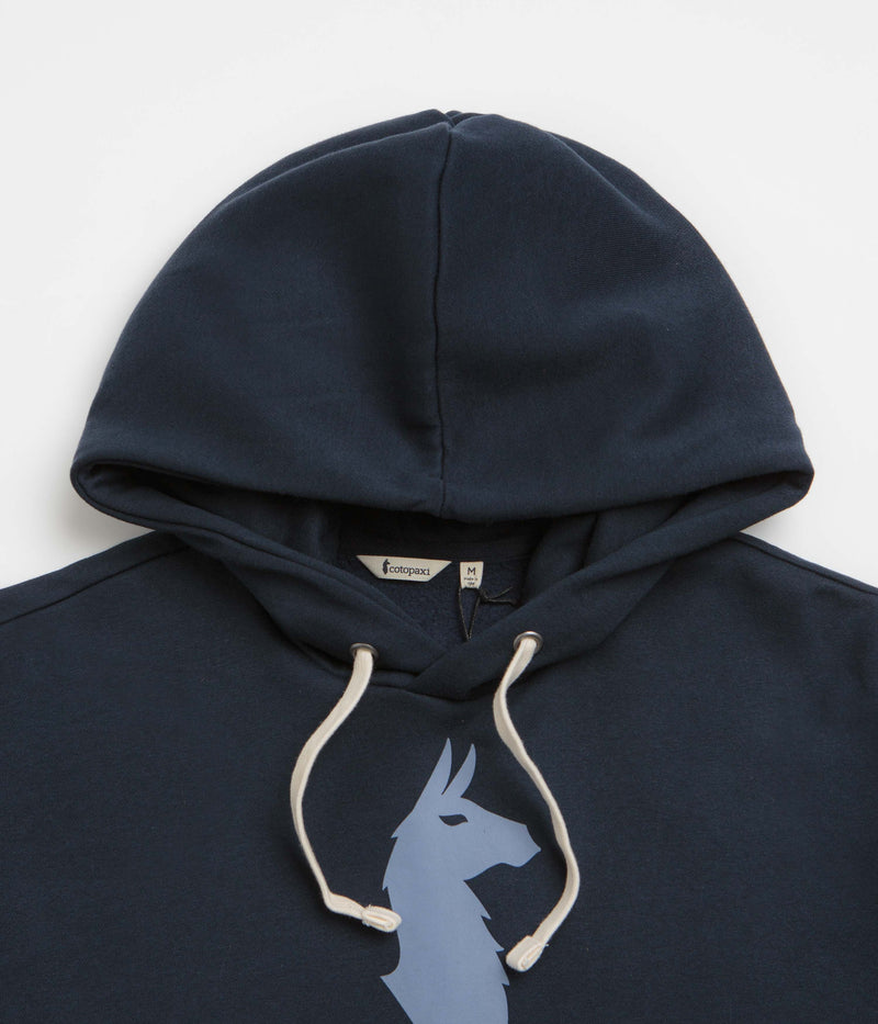 Cotopaxi Llama Hoodie in Carbon