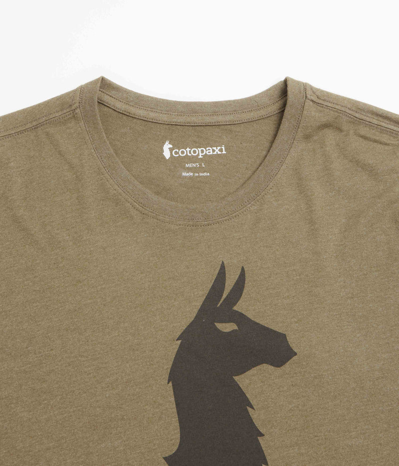 Cotopaxi Llama T-Shirt in Live Oak