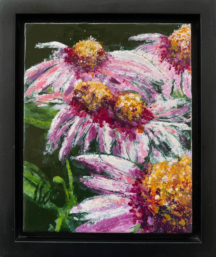 Echinacea