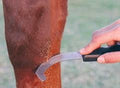 Ezi-Groom Bot Knife