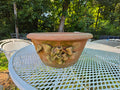 Large Shallow Terracotta Planter w/Flower Embellishment