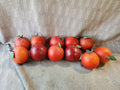 Lot of Red Plastic Waxy Decorative Apples