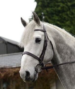 Mackey Classic Hunt/ Show Bridle