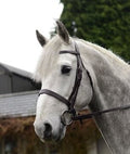 Mackey Classic Hunt/ Show Bridle
