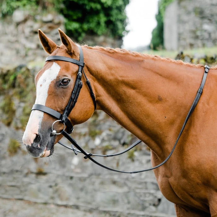 Mackey Classic Hunt/ Show Bridle