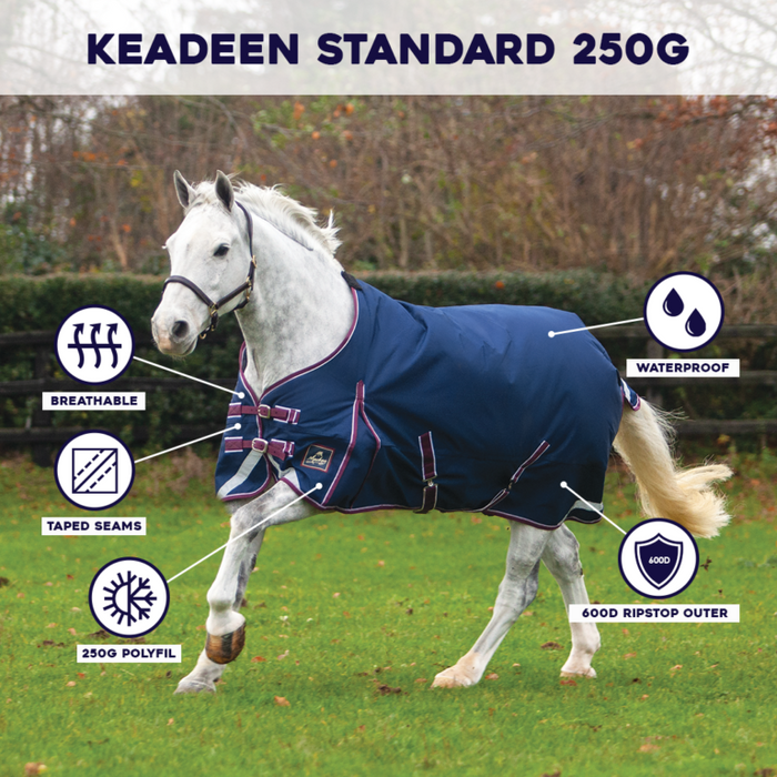 Mackey Keaden Standard Outdoor Rug- 600D 250g Fill