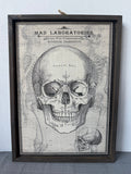 Mad Laboratories Framed Skull Hanging Halloween Decor