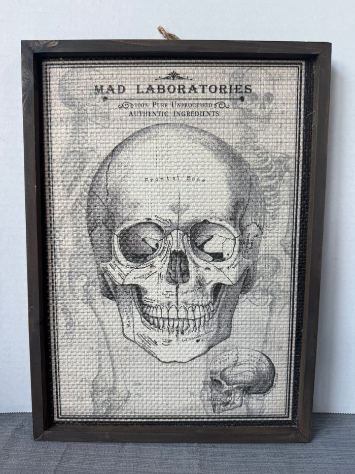 Mad Laboratories Framed Skull Hanging Halloween Decor