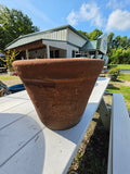 Medium Rustic Terracotta Planter