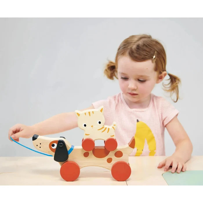 Mentari Toys - Puppy on Wheels-Mentari Toys-treehaus