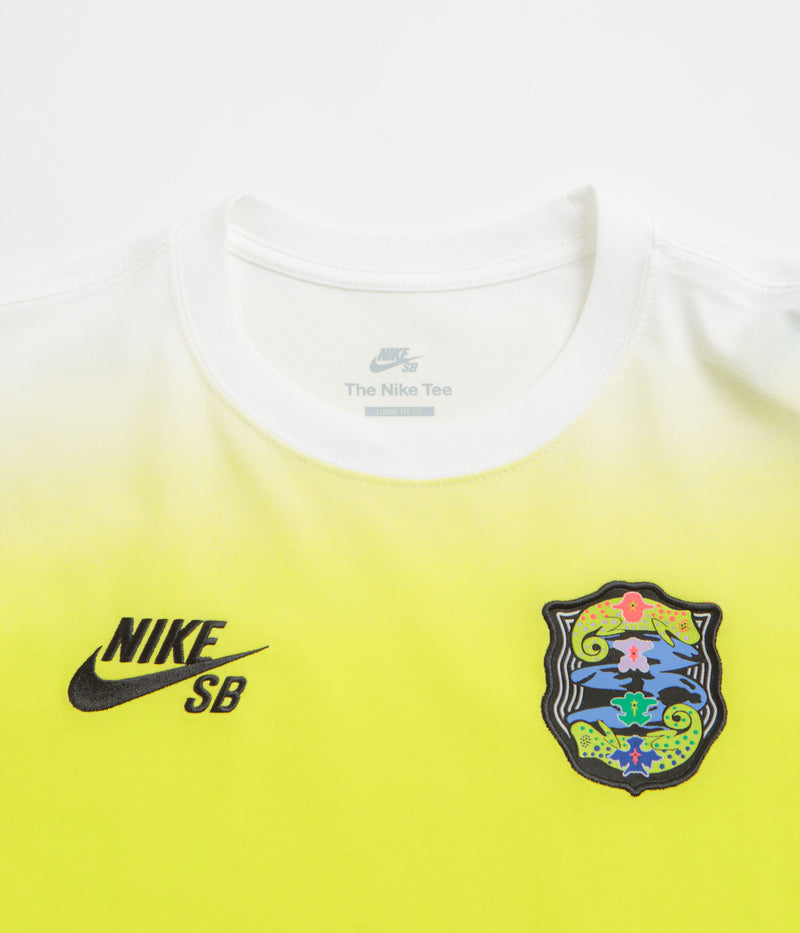 Nike SB Agnostic Long Sleeve T-Shirt in White