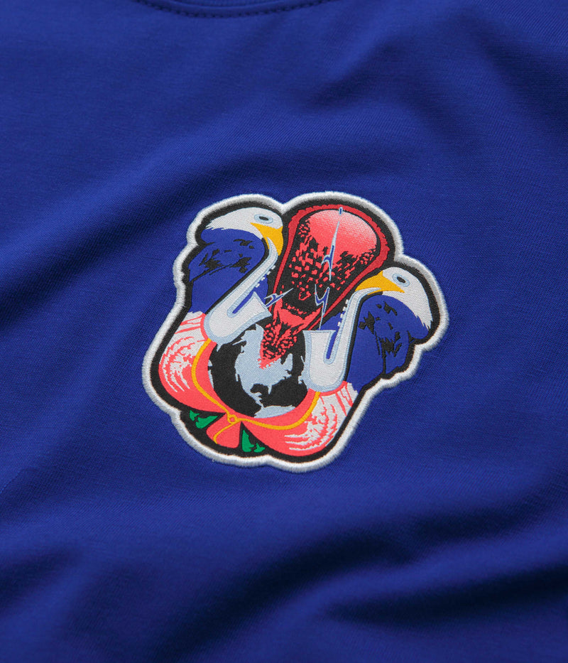 Nike SB Team USA T-Shirt in Old Royal
