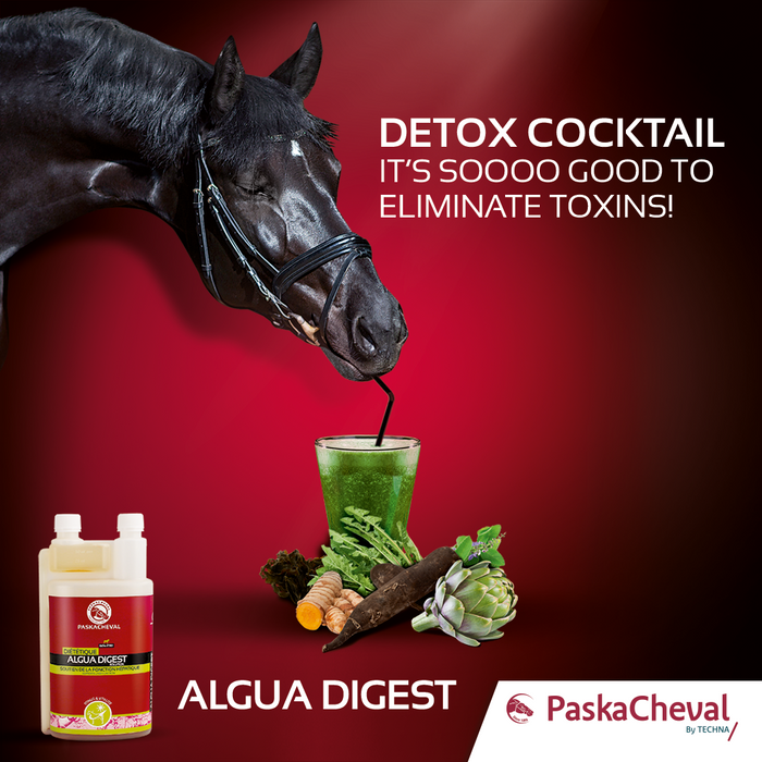 Paskacheval Algua Detox- Liver, Blood & Kidney Cleanse
