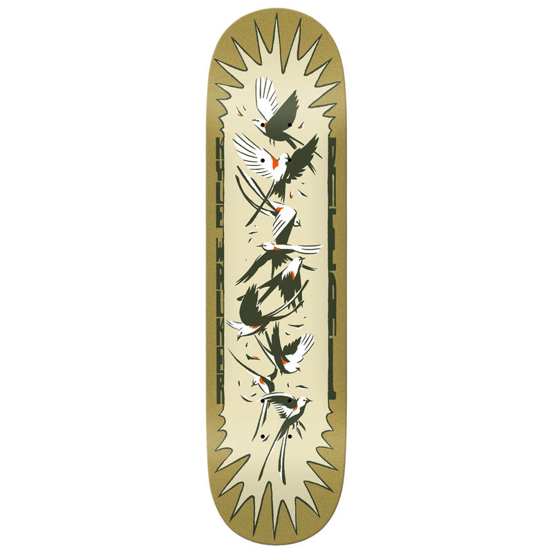 swatch:https://cdn.shopify.com/s/files/1/0519/1388/3831/files/swatch_8cfda6fb-42e0-4477-8518-0f559f678219.jpg?v=1779463747