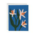Red Cap Cards - Blue Daffodils-Red Cap Cards-treehaus