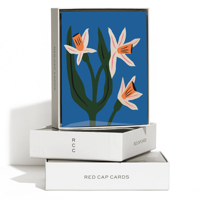 Red Cap Cards - Blue Daffodils-Red Cap Cards-treehaus