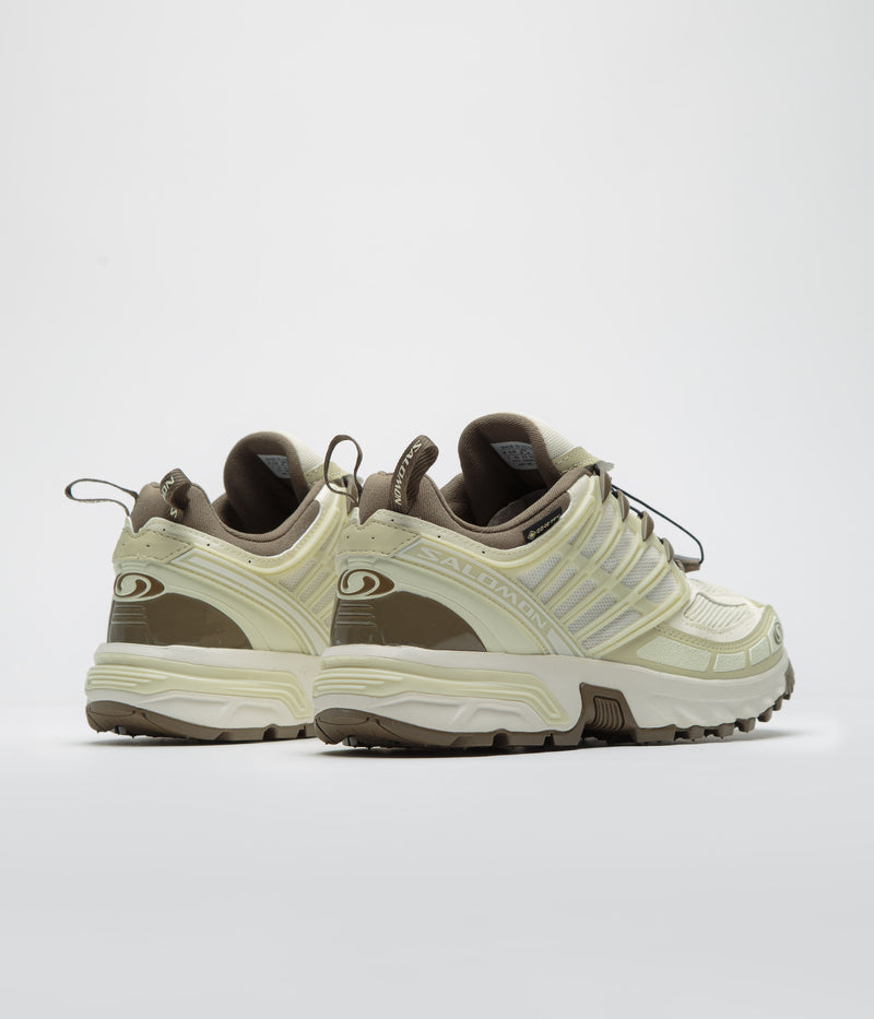 Salomon ACS Pro GTX Shoes in Vanilla Ice and Green Haze / Stone Gray