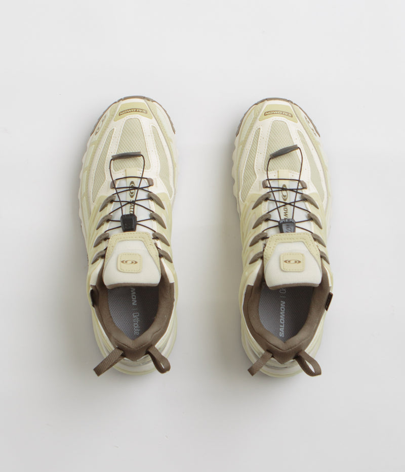 Salomon ACS Pro GTX Shoes in Vanilla Ice and Green Haze / Stone Gray