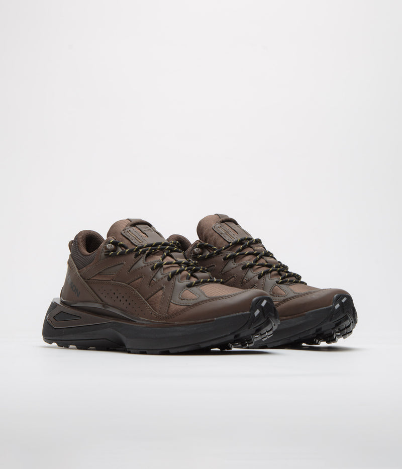 Salomon Odyssey ELMT Low LTR Shoes in Wren and Delicioso / Black